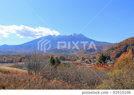秋天從海田高原看白雪皚皚的御嶽山 83919196