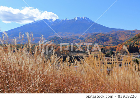秋天從海田高原看白雪皚皚的御嶽山 秋天從海田高原看白雪皚皚的御嶽山 83919226