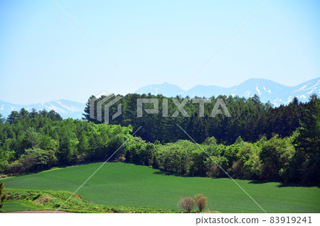 富良野的壯麗土地 83919241