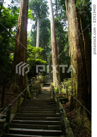 Muroji Temple / Okunoin approach Muroji Temple / Okunoin approach 83919400