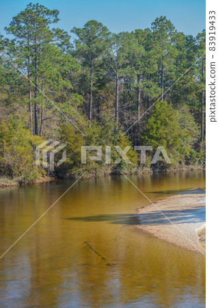 Blackwater River running through the forest of Milton, Santa Clara County, Florida 83919433