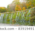 Autumn leaves and waterfall 83919491