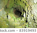 Small green cave 83919493