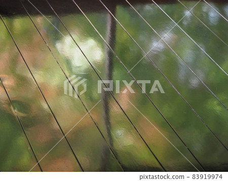 Rurikoin Rurikoin 83919974