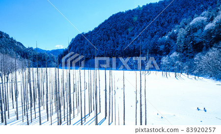 Scenery of Lake Shizenko (winter) Scenery of Lake Shizenko (winter) 83920257