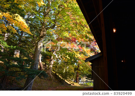 Former Shimamatsu Station in the autumn colors (inside and exterior) Former Shimamatsu Station in the autumn colors (inside and exterior) 83920499