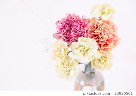 Colorful carnation flowers in a vase 83920501