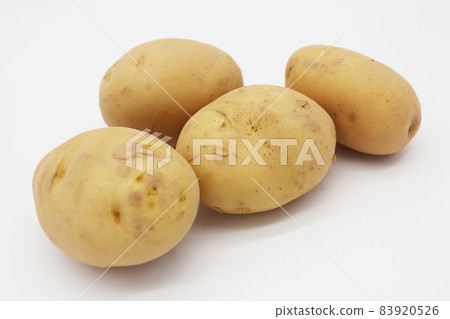potato potato 83920526