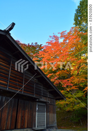 Former Shimamatsu Station in the autumn colors (inside and exterior) 83920800