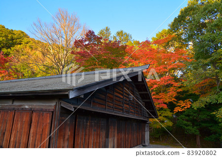 Former Shimamatsu Station in the autumn colors (inside and exterior) 83920802