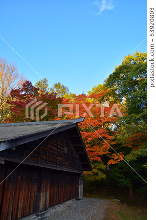 Former Shimamatsu Station in the autumn colors (inside and exterior) Former Shimamatsu Station in the autumn colors (inside and exterior) 83920803