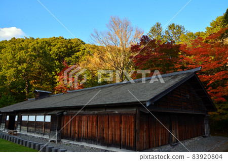Former Shimamatsu Station in the autumn colors (inside and exterior) Former Shimamatsu Station in the autumn colors (inside and exterior) 83920804