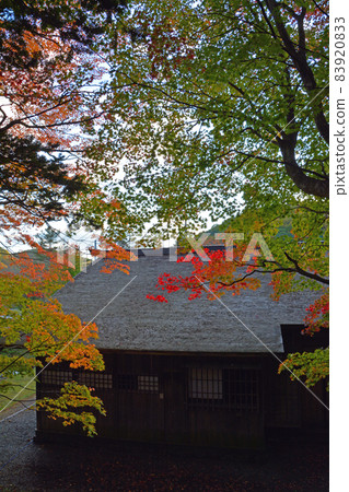 Beautiful old Shimamatsu station in early autumn (inside and exterior) 83920833