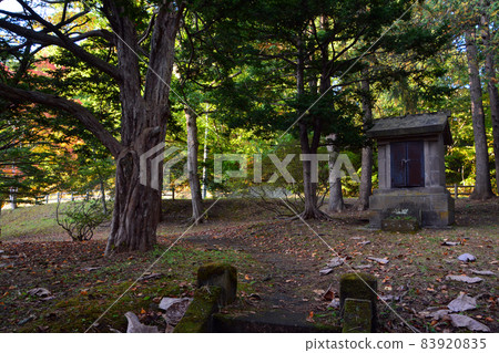 Beautiful old Shimamatsu station in early autumn (inside and exterior) Beautiful old Shimamatsu station in early autumn (inside and exterior) 83920835