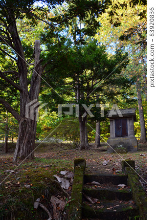 Beautiful old Shimamatsu station in early autumn (inside and exterior) Beautiful old Shimamatsu station in early autumn (inside and exterior) 83920836
