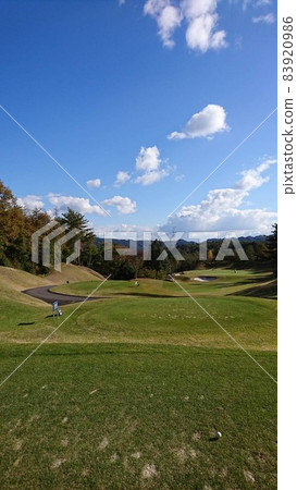 陽光明媚的日子裡的高爾夫球場 83920986
