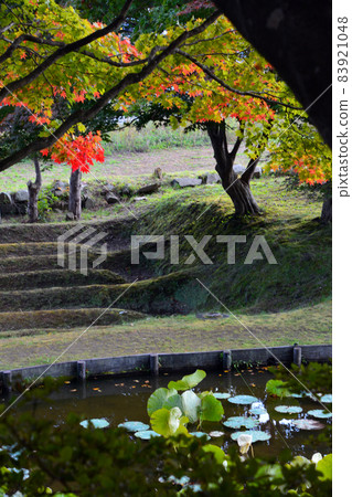 Elegant old Shimamatsu station in early autumn (inside and exterior) Elegant old Shimamatsu station in early autumn (inside and exterior) 83921048
