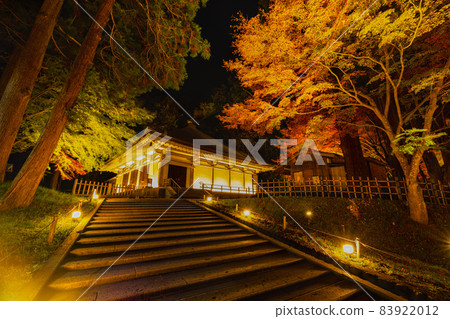 Chusonji Temple Illuminated Golden Hall of Autumn Leaves 83922012