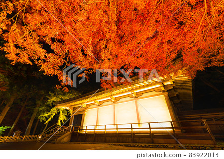 Chusonji Temple A golden temple covered with illuminated autumn leaves 83922013