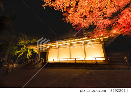 Chusonji Temple A golden temple covered with illuminated autumn leaves 83922014