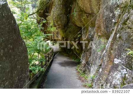[Yamanashi Prefecture] Shosenkyo 83922107