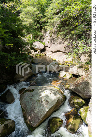[Yamanashi Prefecture] Shosenkyo 83922120