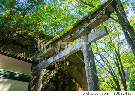 [Yamanashi Prefecture] Shosenkyo 83922483