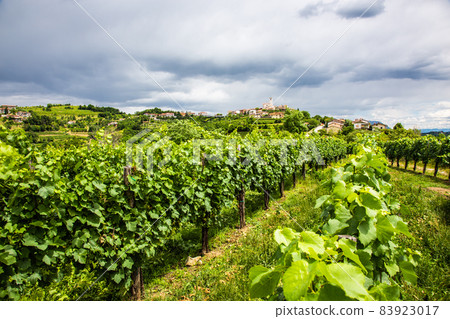 Smartno medieval village in Goriska Brda region, Slovenia. 83923017