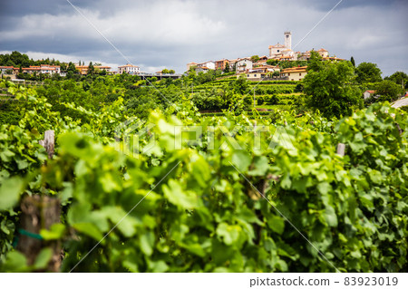 Smartno medieval village in Goriska Brda region, Slovenia. Smartno medieval village in Goriska Brda region, Slovenia. 83923019