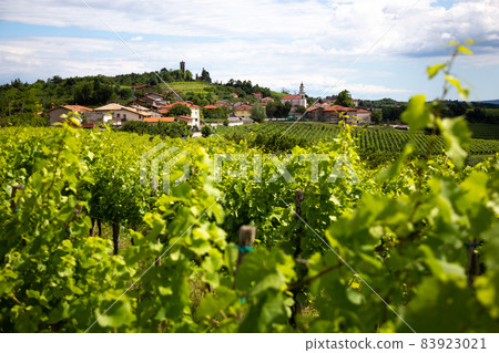 Smartno medieval village in Goriska Brda region, Slovenia. Smartno medieval village in Goriska Brda region, Slovenia. 83923021