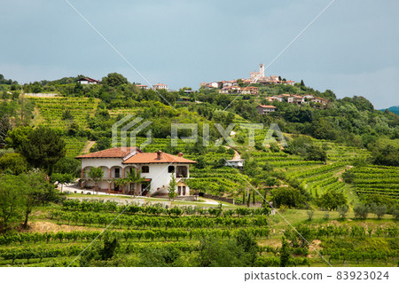 Smartno medieval village in Goriska Brda region, Slovenia. Smartno medieval village in Goriska Brda region, Slovenia. 83923024