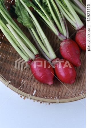 Red turnip thigh 83923356
