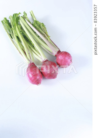 Red turnip thigh Red turnip thigh 83923357