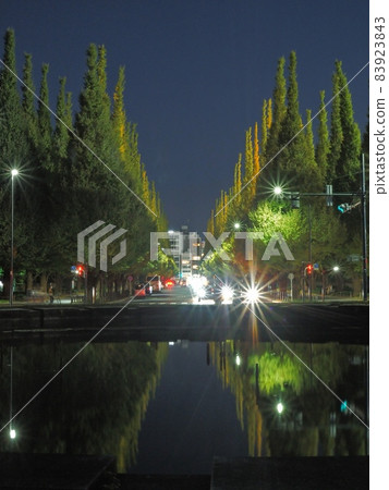 Gingko line trees in front of Jingu Gaien 83923843