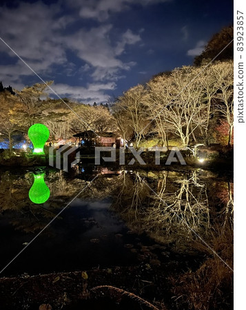 Trees reflected on the lake 83923857