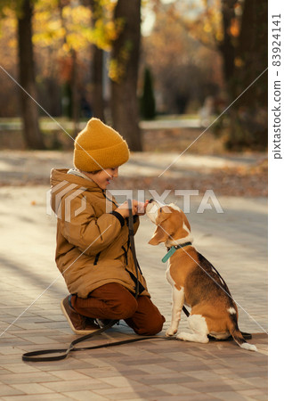 Little boy walk dog Little boy walk dog 83924141