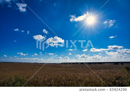 霞浦浮島沼澤上的稻敷大橋 霞浦浮島沼澤上的稻敷大橋 83924290