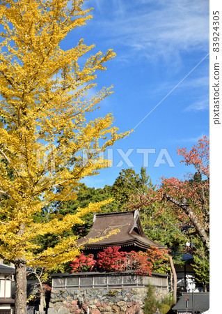 Koyasan Six o'clock Bell (Autumn leaves) [Koya-cho, Ito-gun, Wakayama Prefecture] 83924305