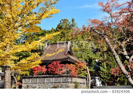 Koyasan Six o'clock Bell (Autumn leaves) [Koya-cho, Ito-gun, Wakayama Prefecture] 83924306