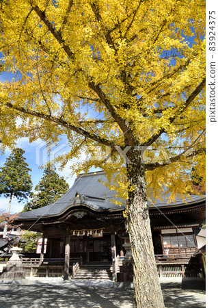 Koyasan Nanin, Namikiri Fudoson and Ginkgo Tree [Koya-cho, Ito-gun, Wakayama Prefecture] 83924375