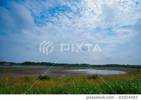 水鳥聚集的地方 水鳥聚集的地方 83924483