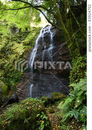 Fudo Waterfall [Kimino Town, Wakayama Prefecture] 83924702