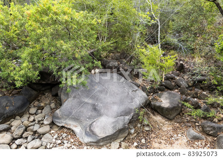 Boulder Strewn Dry Country Creek Bed 83925073
