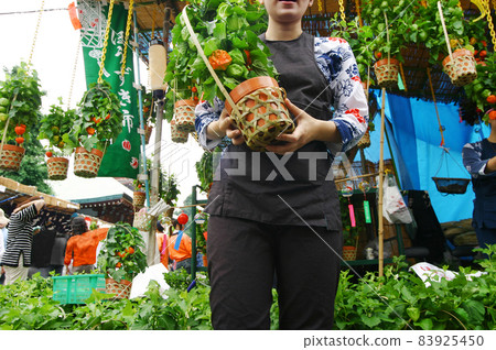 淺草寺的保月市場。健康女性的輕聲呼喚是鬧市宣告夏天的傳統。 83925450