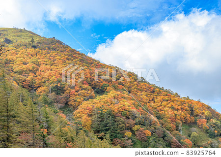 Autumn Kenzan Miyoshi City, Tokushima Prefecture Autumn Kenzan Miyoshi City, Tokushima Prefecture 83925764