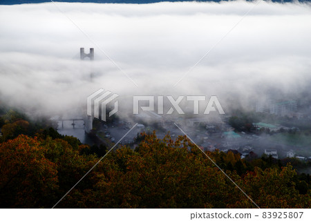 Chichibu Sea of Clouds / Dawn [Saitama Prefecture] 83925807