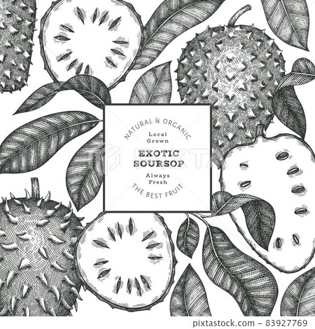Hand drawn sketch style soursop fruit banner. Organic fresh fruit vector illustration. Retro guanabana design template 83927769