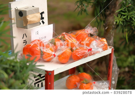 奉獻柿子 天野柿子 靜岡縣伊豆之國市 奉獻柿子 天野柿子 靜岡縣伊豆之國市 83928078