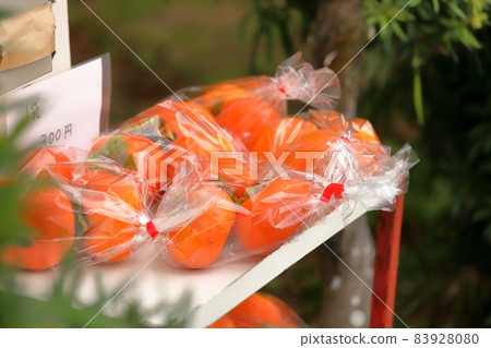 奉獻柿子 天野柿子 靜岡縣伊豆之國市 83928080