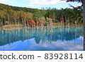 Take a walk in the blue pond 83928114
